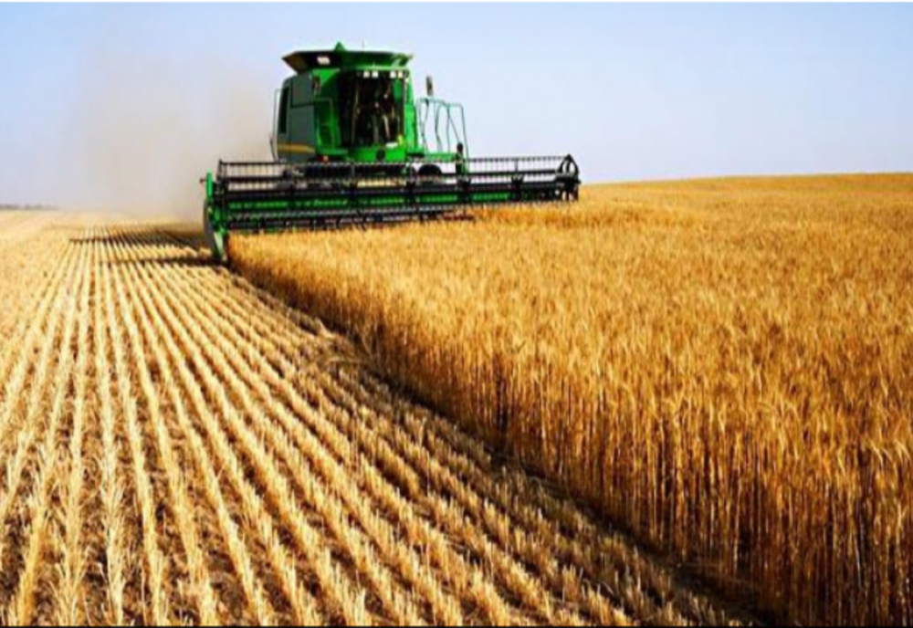 România, VÂNDUTĂ la bucată străinilor: Revolta fermierilor români care nu pot cumpăra pământ