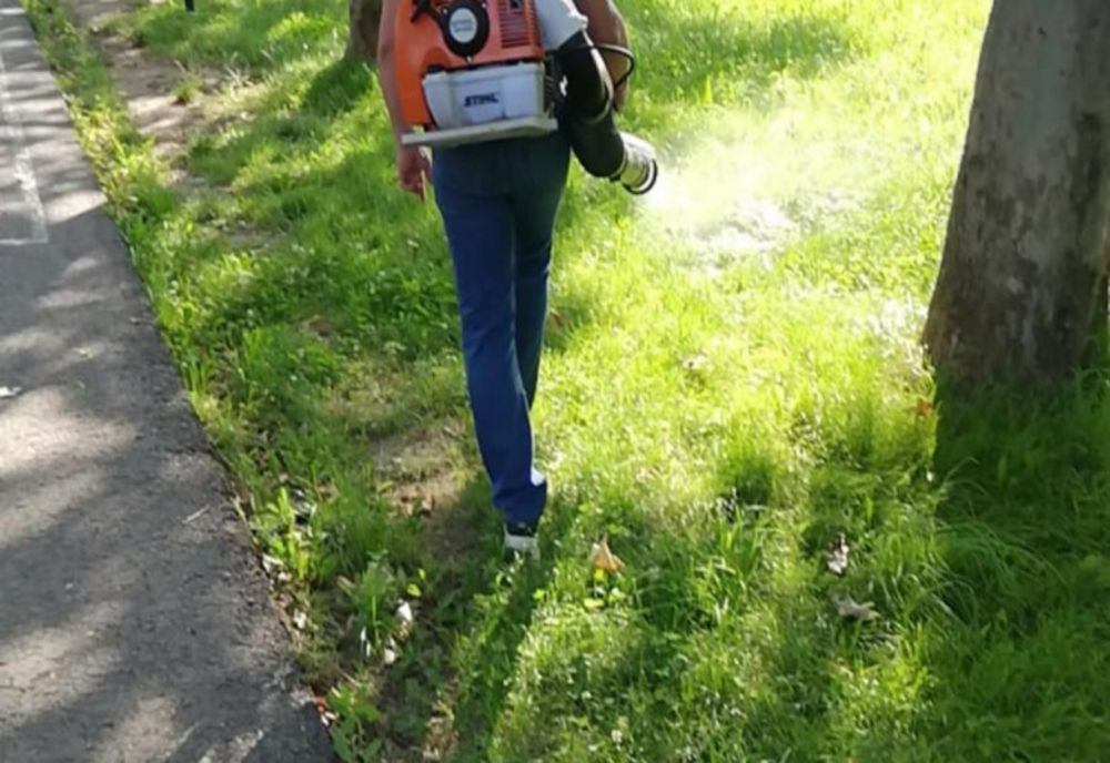 București: A început al patrulea tratament anti-țânțari din acest sezon. Mesajul transmis de Nicușor Dan