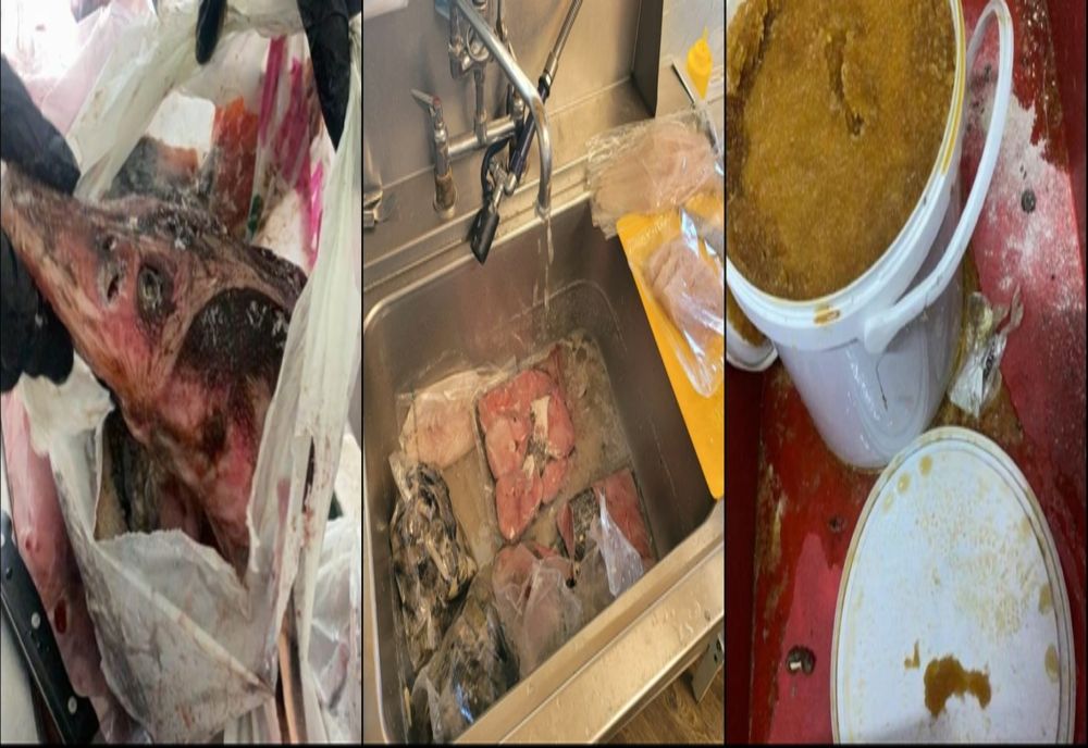 FOTO VIDEO Imagini revoltătoare din bucătăriile unor restaurante de pe litoral și din Delta Dunării