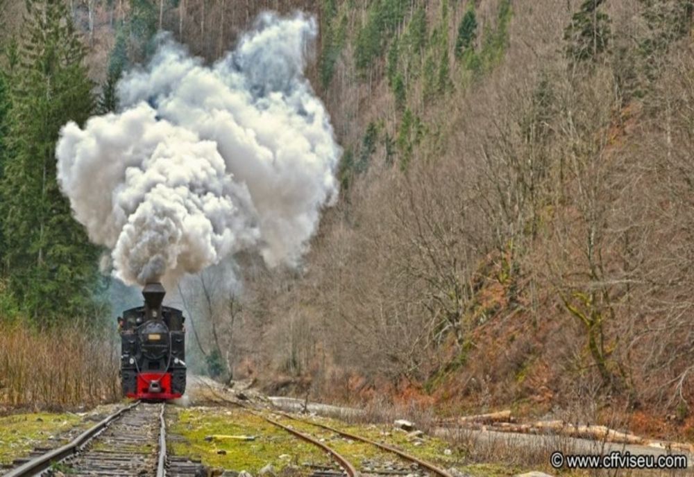 Maramureş: O mocăniţă cu peste 150 de turişti a deraiat