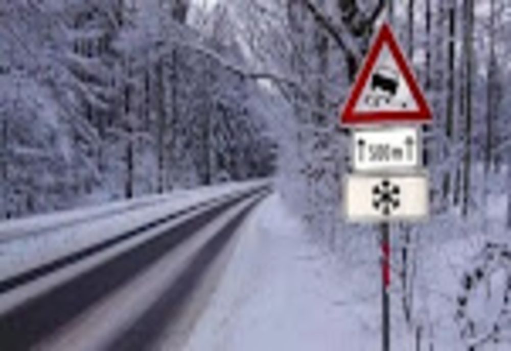 Zona montană a județelor Prahova și Dâmbovița va intra în cod portocaliu de vreme rea!