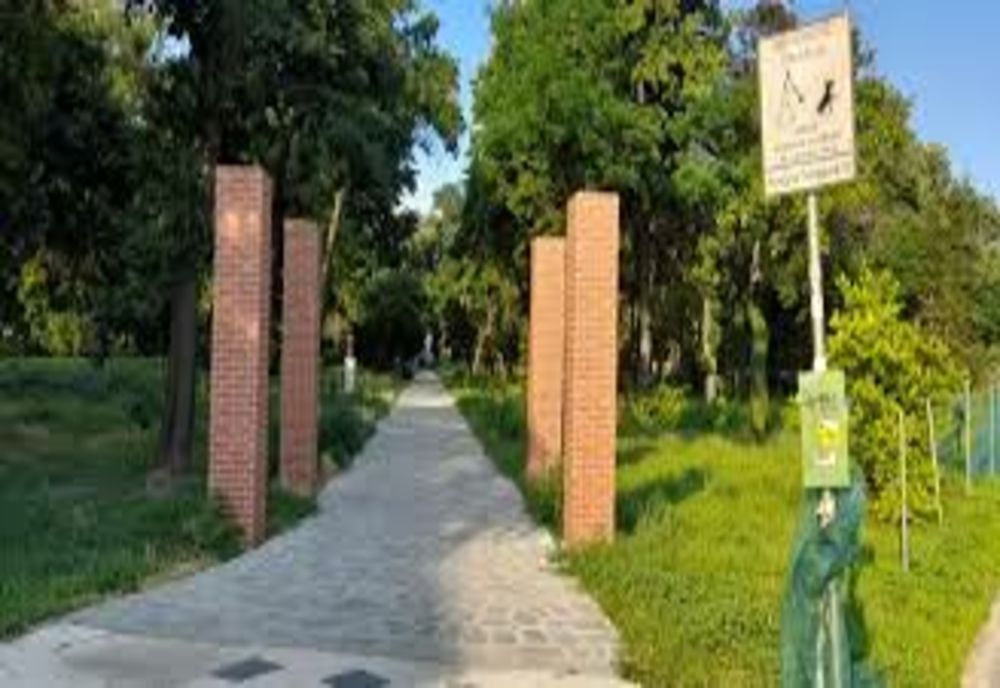 Charlie Ottley, tâlhărit la Timișoara. Cum a fost posibil și ce a pierdut celebrul realizator