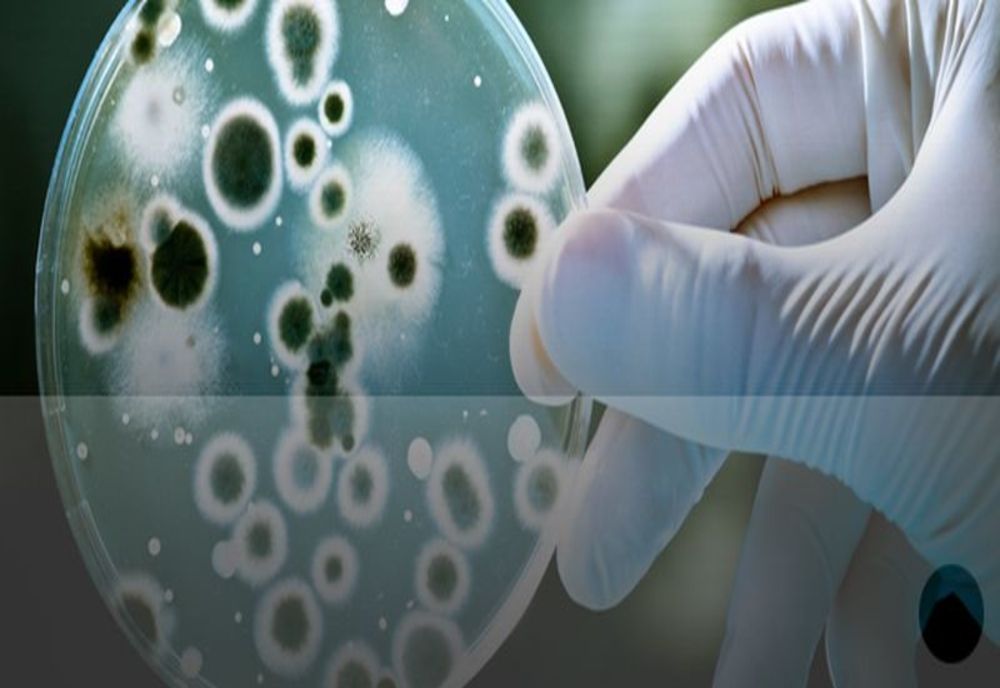 Săptămâna Mondială a Conștientizării Antimicrobiene 18 - 24 noiembrie 2022