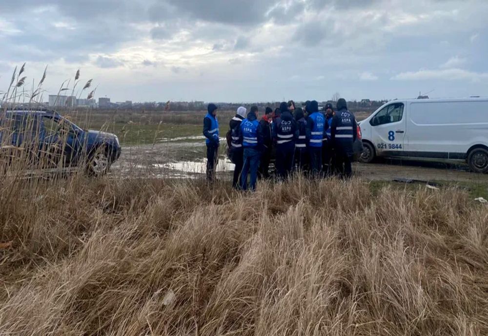 Acțiune ASPA București după tragedia de la Lacul Morii. 12 câini și doi pui au fost capturați și cazați în adăpostul ASPA Bragadiru