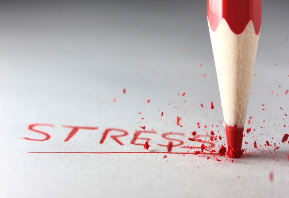 Ce este bine să mănânci în perioadele stresante