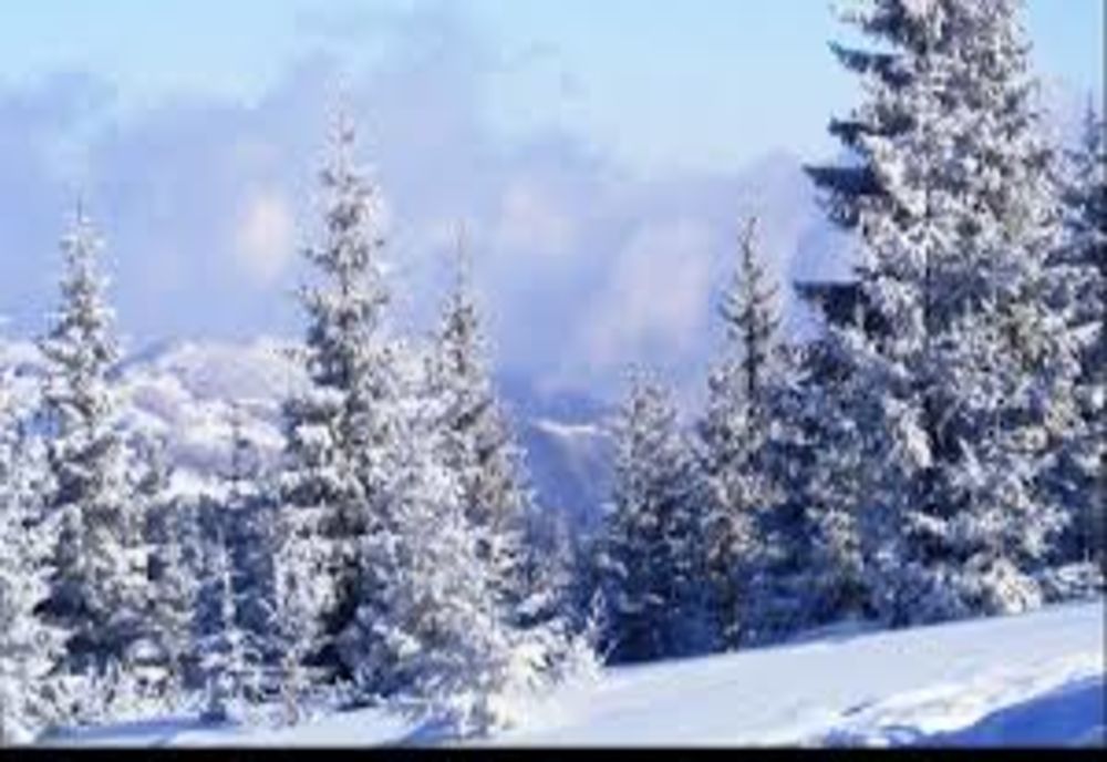 Vremea 29 ianuarie. Ninsori și vânt puternic