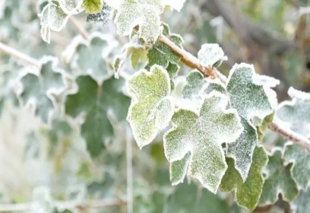 Val de aer polar peste România: Vin temperaturi negative, ploi și îngheț
