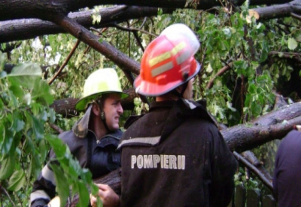 Vremea rea a produs pagube serioase în București: copaci căzuți, mașini distruse, mai multe semafoare au căzut