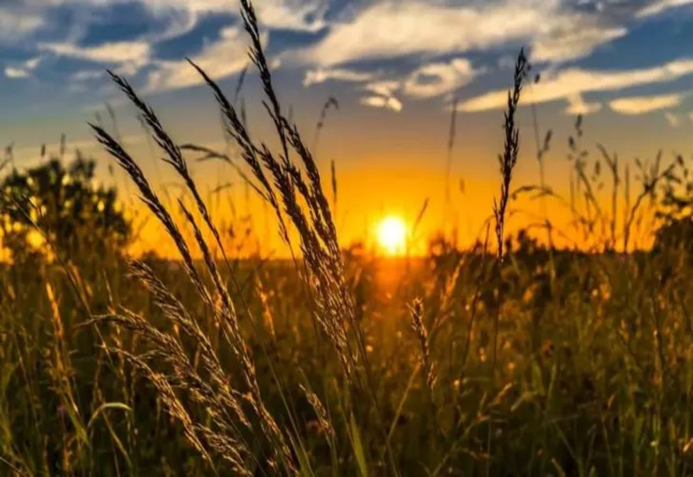 VREMEA 13 AUGUST. COD GALBEN DE CANICULĂ