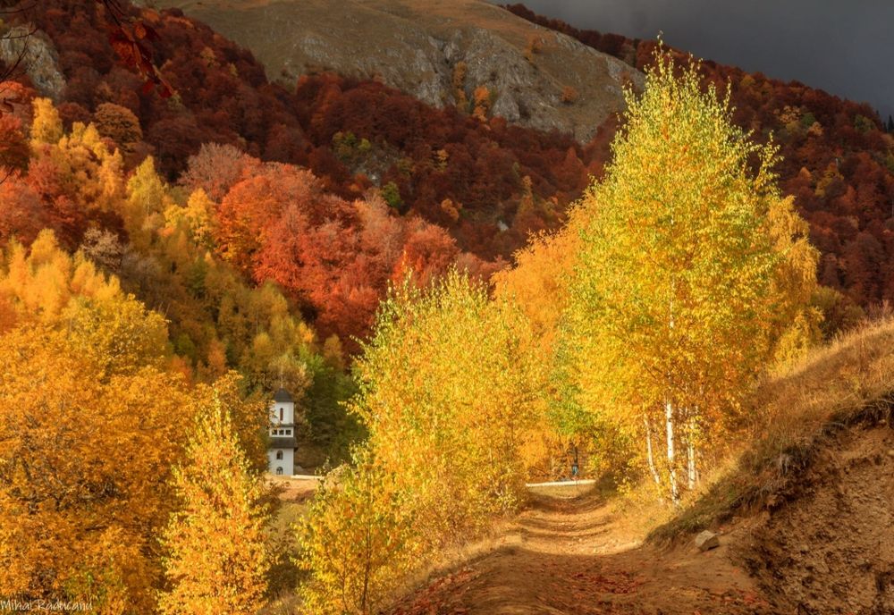 Prognoza actualizată de la ANM. Schimbare radicală a vremii: România, împărțită în 2 anotimpuri - Valul de frig acoperă țara în 24 de ore