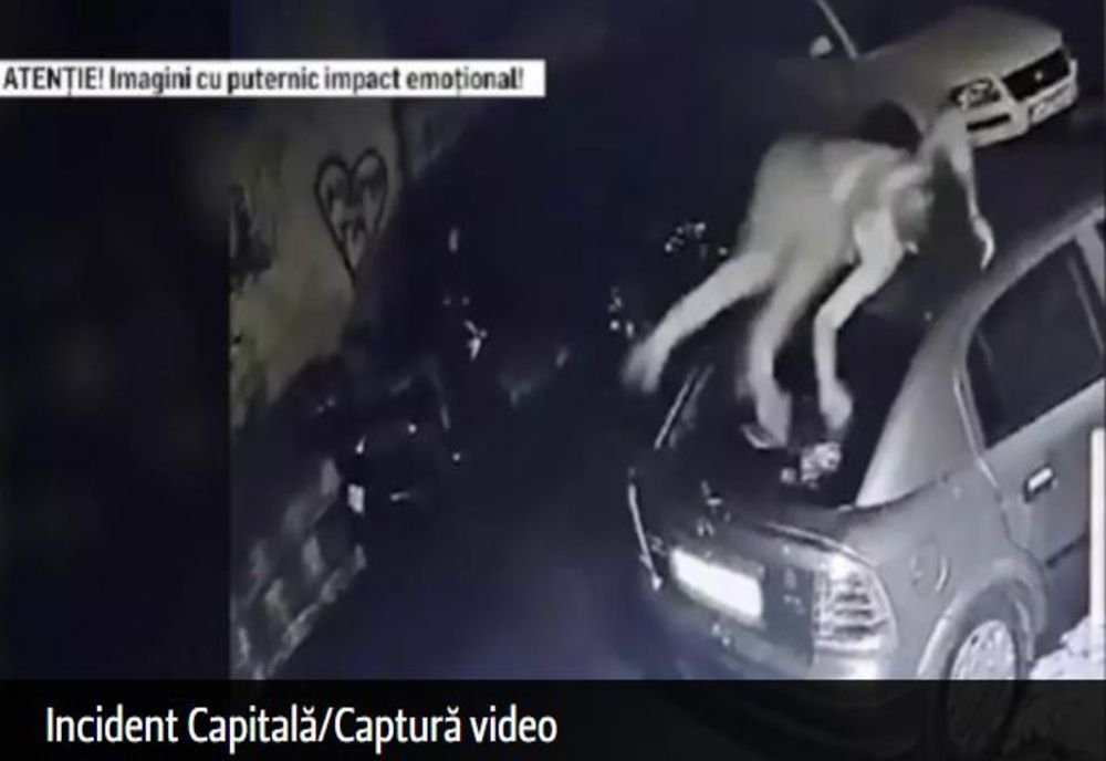 Intervenție haotică a poliției în cazul tânărului drogat din Capitală care a decedat. Un martor și tatăl bărbatului fac acuzații grave