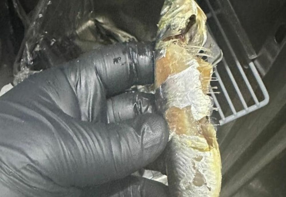 Dezastru în Mall Băneasa. Culoar de aprovizionare al magazinelor cu gândaci şi şoareci morți FOTO/VIDEO