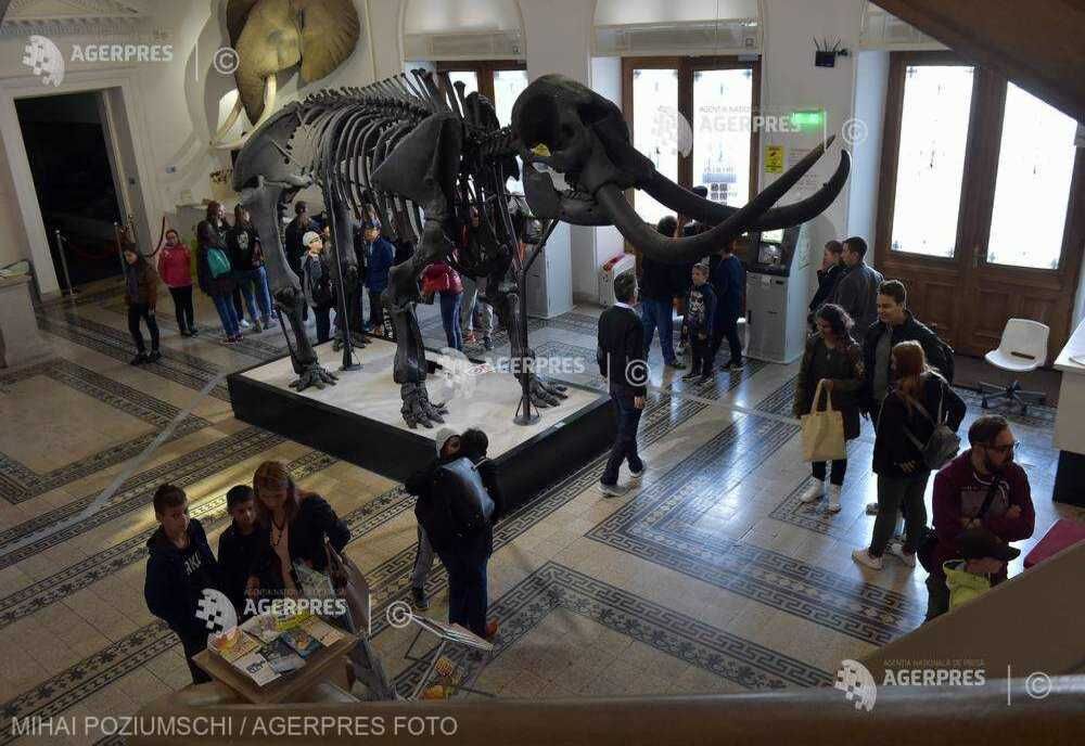 NOAPTEA CERCETĂTORILOR - EVENIMENTE ORGANIZATE ÎN CAPITALĂ