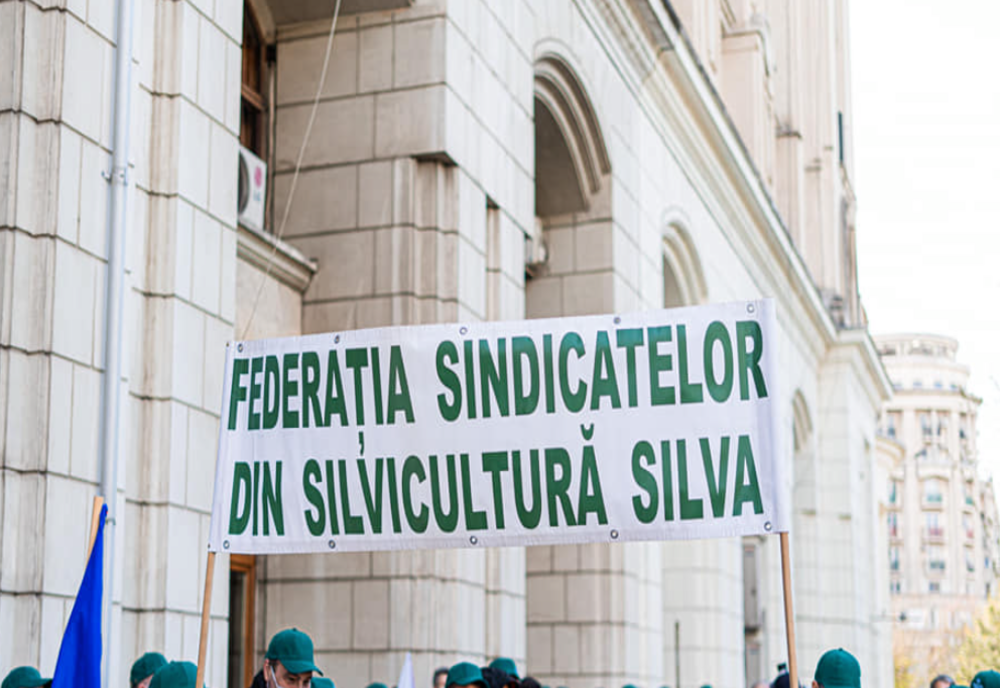 FEDERAȚIA SINDICATELOR DIN SIVICULTURĂ SILVA, PROTEST ÎN FAȚA MINISTERULUI MEDIULUI