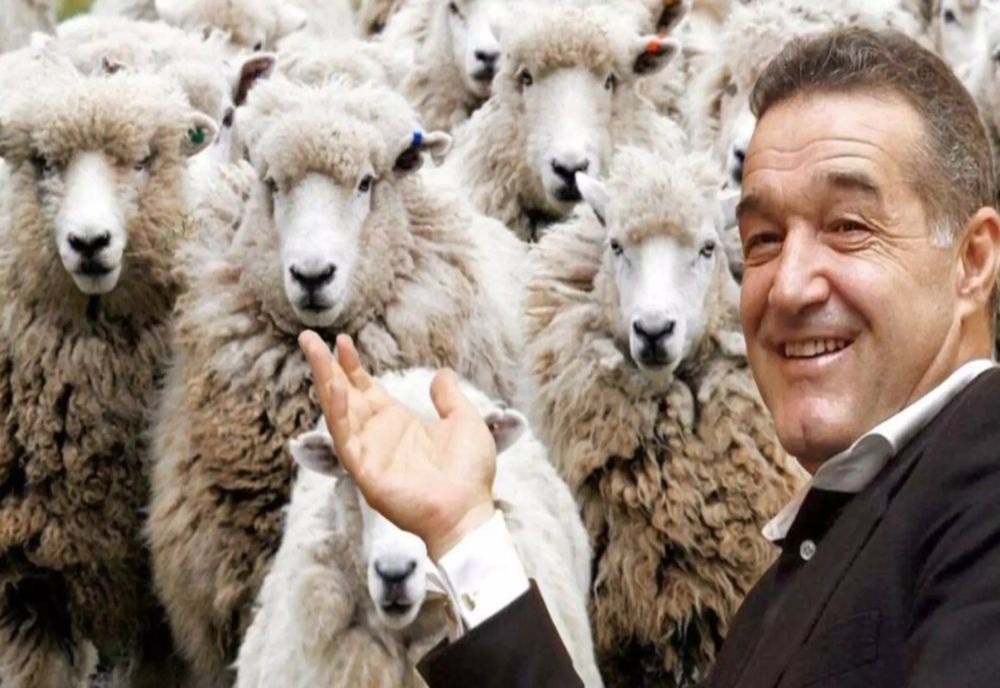 Umilință maximă pentru Becali - călcat în picioare de un apropiat: Pe fruntea lui scrie cu litere de-o șchioapă "PUȘCĂRIE". Ce caută ăsta în societatea românească?