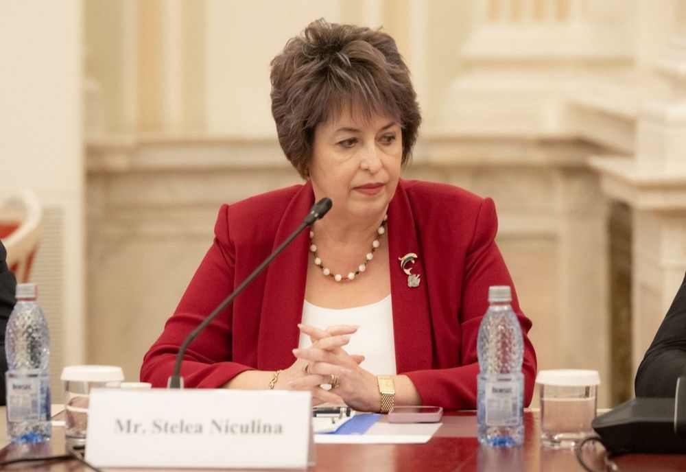 NICULINA STELEA(AUR): ”ROMÂNIA A ABSORBIT EFECTIV DOAR 11% DIN FONDURILE EUROPENE AFERENTE ACTUALULUI EXERCIȚIU BUGETAR AL UE”
