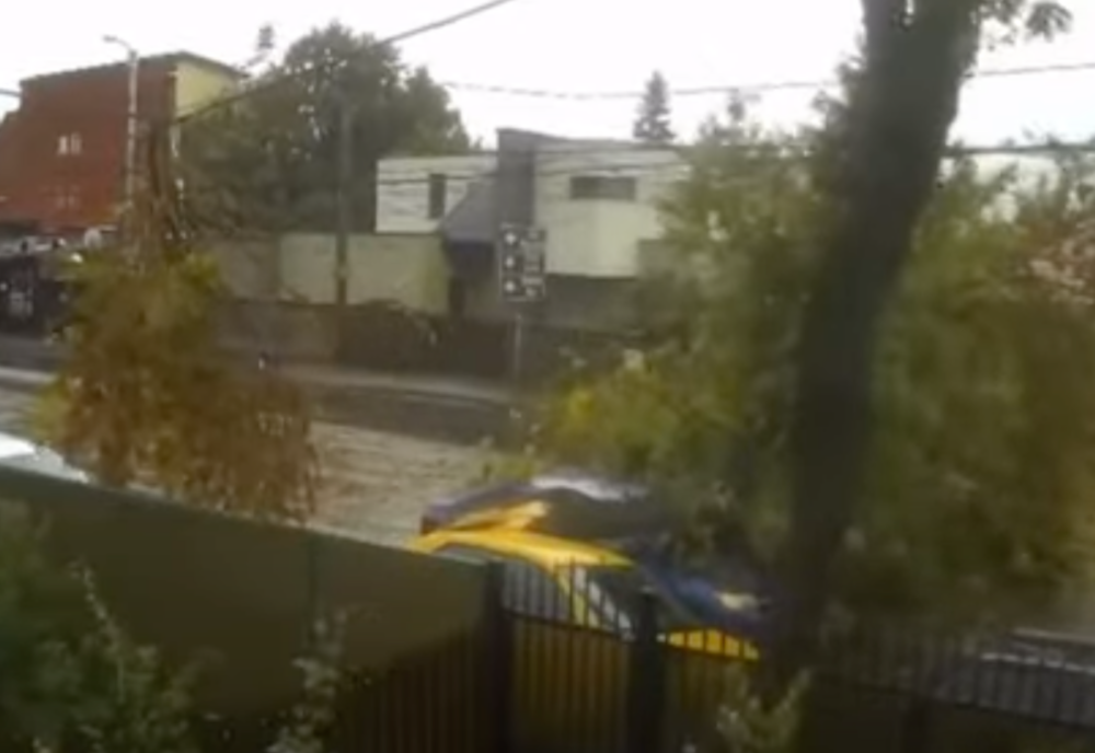 CIRCULAȚIA ÎNTRERUPTĂ PE ȘOSEAUA GIURGIULUI. UN COPAC A CĂZUT PESTE O MAȘINĂ ÎN MERS - O VICTIMĂ 