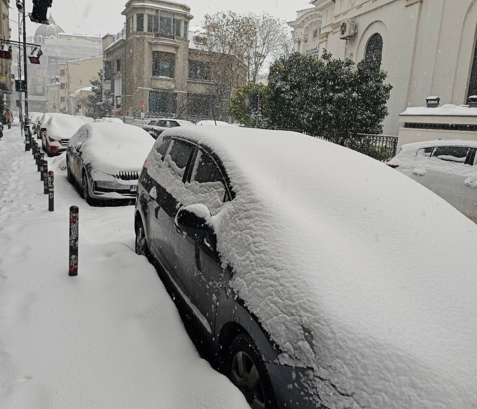 Ninsoare București / Foto: Facebook/Meteoplus