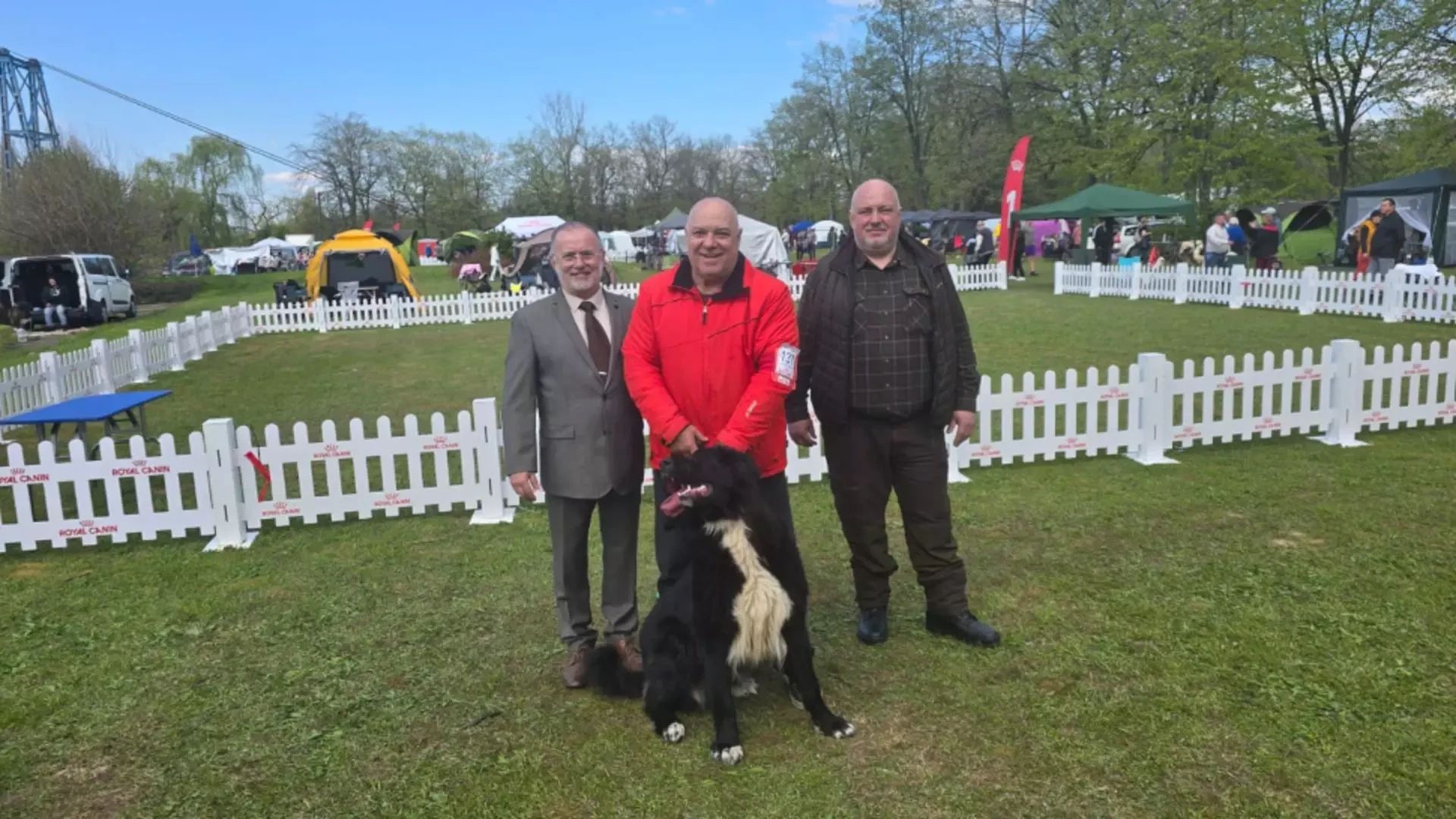 Cățelușa care a obținut titlul de campion național pentru rasa Ciobănesc Corb