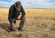 Ministrul Agriculturii anunță secetă extremă, culturile sunt compromise în mare parte