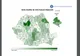 Evaluarea Națională 2020: Bucureștiul are cele mai multe medii de 10 