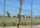 84 de pasageri, printre care militari americani, evacuați după o defecțiune tehnică pe aeroportul Băneasa