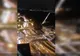 Sute de kilometri de cozi la ieșirile din Paris. "Orașul luminilor" se pregătește de stingere