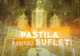 PASTILA PENTRU SUFLET - Ce înseamnă de fapt Sfânta Euharistie - Toți credincioșii trebuie să știe asta