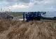 Acțiune ASPA București după tragedia de la Lacul Morii. 12 câini și doi pui au fost capturați și cazați în adăpostul ASPA Bragadiru