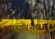 Droguri găsite în Pădurea Băneasa, lângă Academia de Poliție. Pachetele erau îngropate