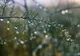 METEO: PLOI ȘI TEMPERATURI SCĂZUTE, PÂNĂ LA 1 IUNIE