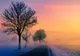 VREMEA 3 DECEMBRIE. TEMPERATURI SPECIFICE PERIOADEI 
