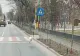 PUI DE CANGUR, FILMAT ALERGÂND PE O STRADĂ DIN BUCUREȘTI