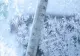 RECOMANDĂRI ALE ANSVSA PENTRU PROTEJAREA ANIMALELOR ÎN PERIOADA CU TEMPERATURI FOARTE SCĂZUTE 
