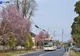 TRAFIC TEMPORAR ÎNCHIS PE DN1, ÎN WEEKEND. LINIILE REGIONALE DIN NORDUL CAPITALEI, DEVIATE 
