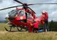 INCIDENT GRAV ÎN AZUGA. TÂNĂR DE 19 ANI ATACAT DE URS, DUPĂ CE A VRUT SĂ ÎL ÎNDEPĂRTEZE CU O PETARDĂ 