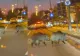 Porci mistreți, surprinși pe o șosea aglomerată din Băneasa. Scene neobișnuite în nordul Capitalei | VIDEO