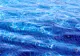 Fetiță de 7 ani, înecată într-o piscină din București