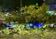 Copac a căzut peste cinci vehicule pe Bulevardul Iuliu Maniu, în Sectorul 6