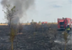 Incendiu de vegetație în Popești-Leordeni! A fost emis mesaj RO-ALERT